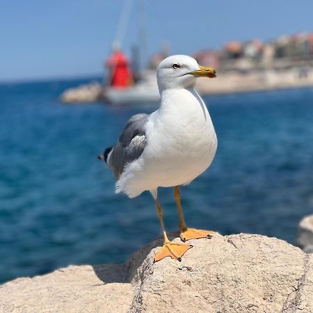 Apartament Studio Piran Zewnętrze zdjęcie